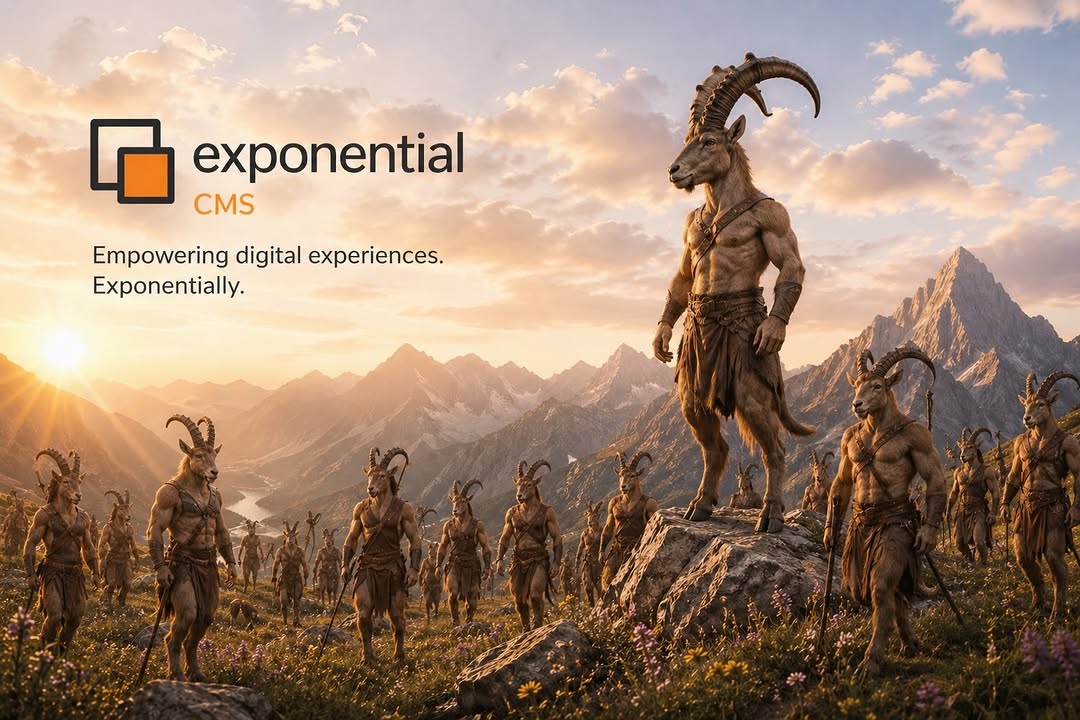 With the Exponential DXP/CMS you can become a leader of your own future and indirectly affect the lives of countless others not so different from yourself! Discover how we offer order from the chaos of the modern world the scales to exceed your own expect